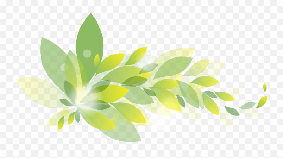 Free Graphic Design Templates Png Images Background - Illustration,Colorful Flowers Png