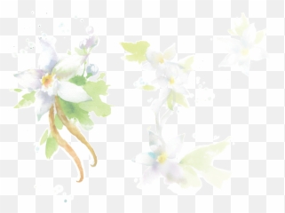 Vanilla Bean - Artificial Flower Png,Vanilla Bean Png