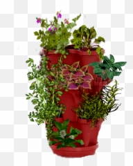 Index Of Bloomingdeals Png Planter