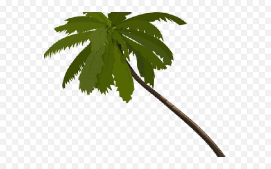 Palm Tree Clipart Royalty Free - Animated Palm Trees Png Green Palm Tree Vector,Trees Png Images