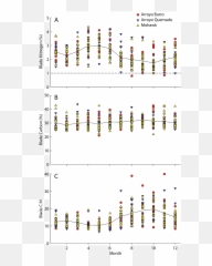 Giant Kelp Blade Nitrogen Content - Plot Png,Kelp Png