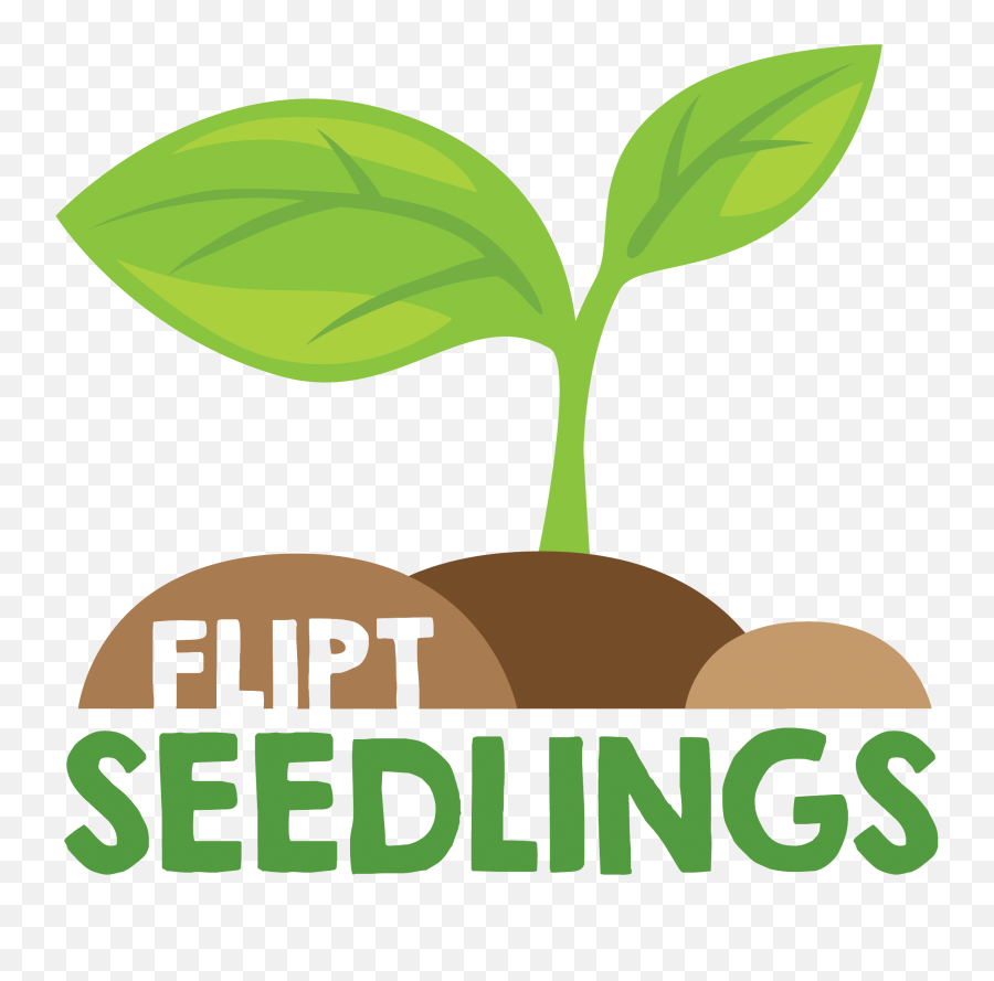 Null - Seedlings Logo Clipart Full Size Clipart 1621170 Logo Seedling Png,Seedling Png