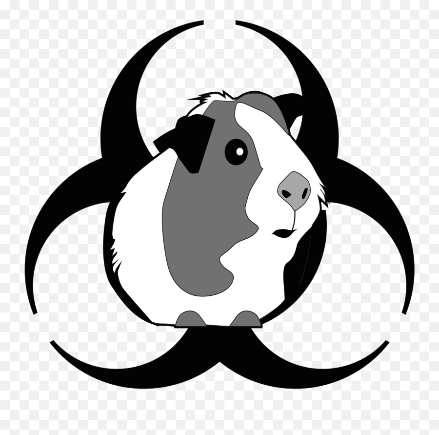 Episode 85 - Attack Of The Peruvian Guinea Pig Death Flu Cute Guinea Pig Clipart Png,Guinea Pig Png