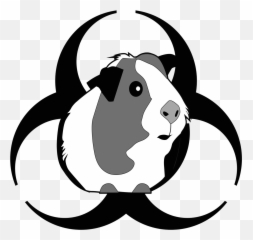 Episode 85 - Attack Of The Peruvian Guinea Pig Death Flu Cute Guinea Pig Clipart Png,Guinea Pig Png
