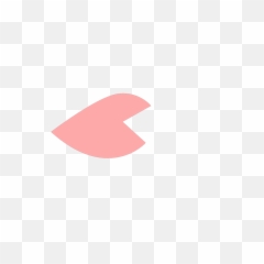 Cherry Blossom Petal Vector - png
