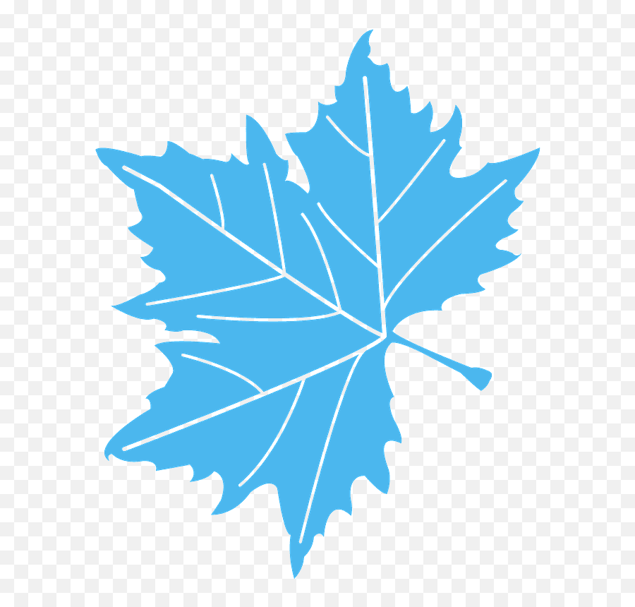 Sycamore Leaf Silhouette - Leaf Vector Hd Png,Leaf Silhouette Png