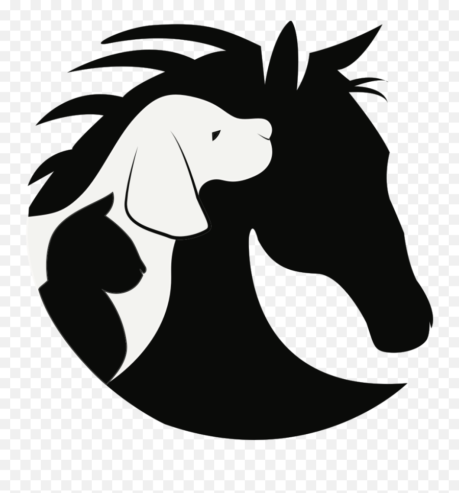 Home Back In Action Vet - Dog Horse And Cat Silhouette Cat Dog Horse Clip Art Png,Cat Silhouette Transparent