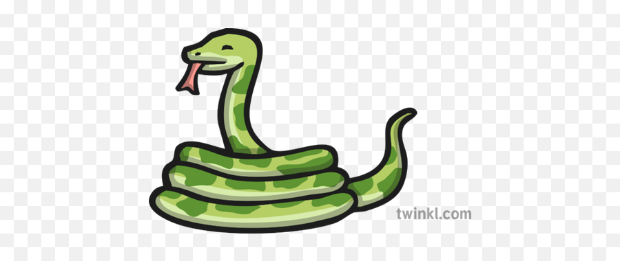 Snake Icon Illustration - Animal Figure Png,Green Snake Icon