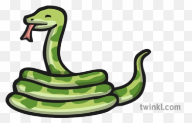 Snake Icon Illustration - Animal Figure Png,Green Snake Icon