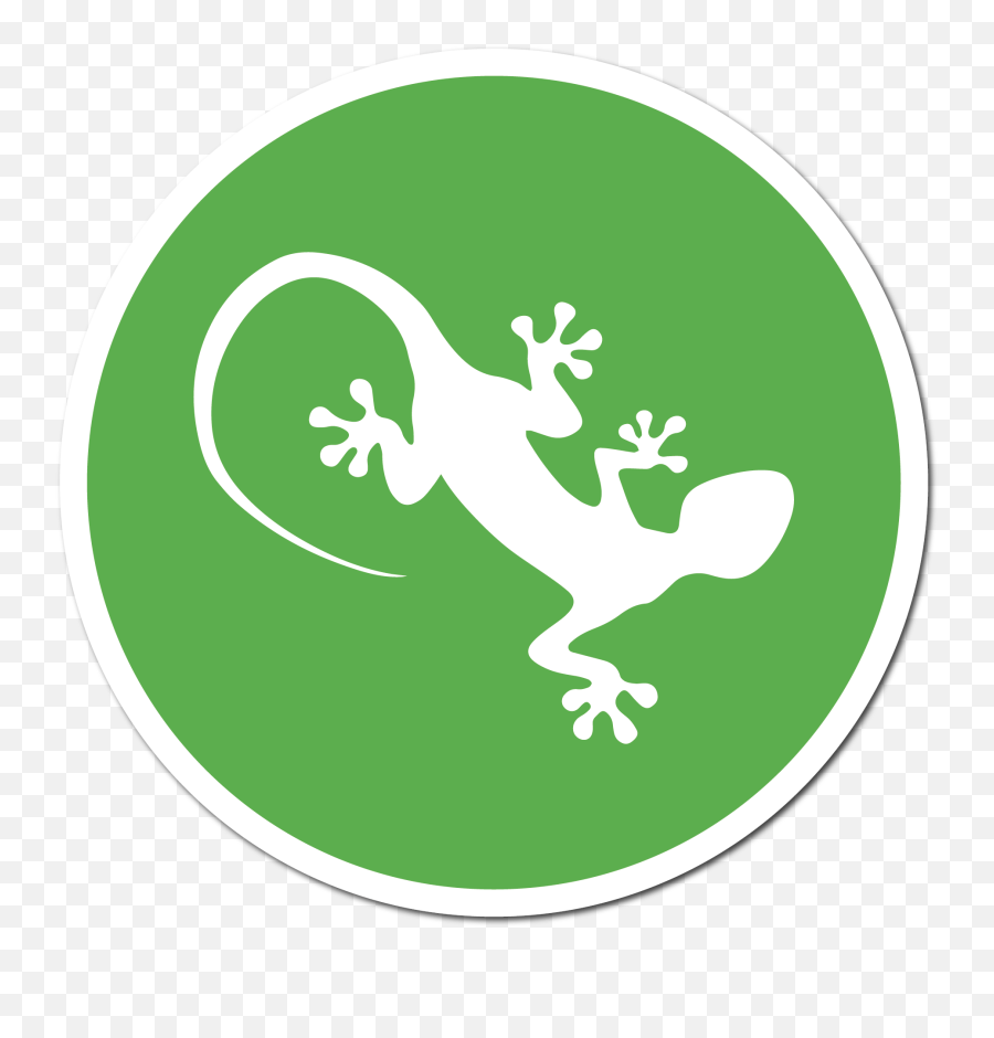 Lizard Fencing - Amphibians Png,Lizard Icon