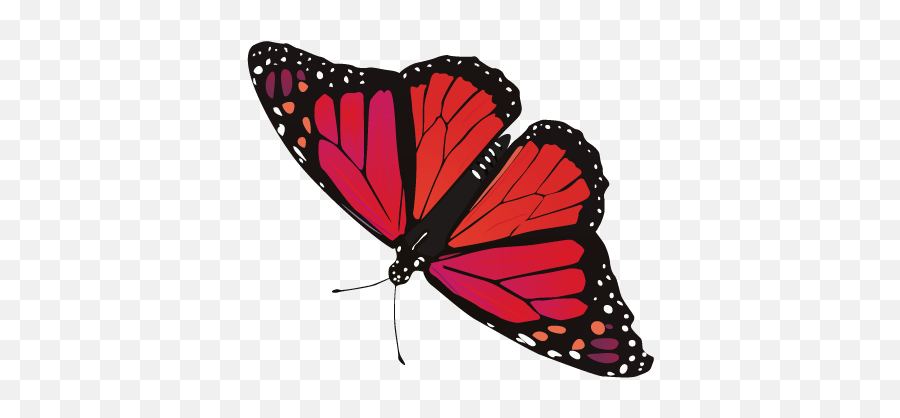Butterfly Png Image Free Picture Download - Red Butterfly Transparent Background,Butterfly Transparent