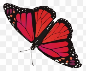 Butterfly Png Image Free Picture Download - Red Butterfly Transparent Background,Butterfly Transparent
