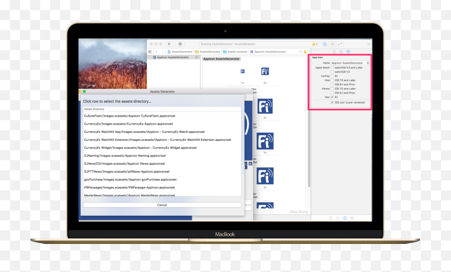 Assetsgenerator - Generate Icon And Launchimage Assets For Software Engineering Png,Ios App Icon Xcode