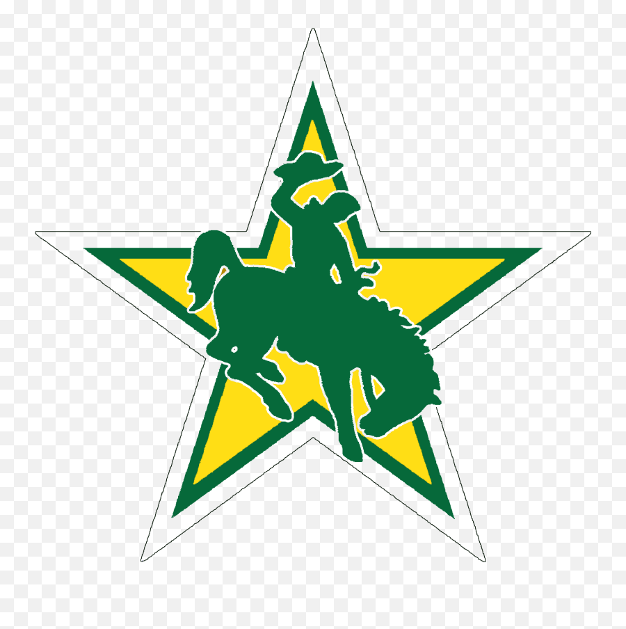 Home - Nba All Star Charlotte 2019 Logo Png,Public School Icon