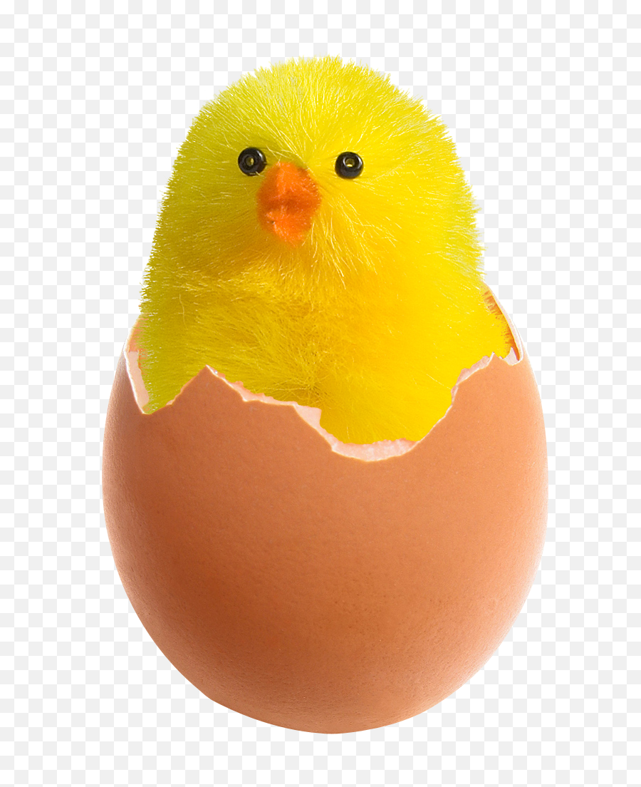 Chicken In Broken Egg Png Image - Broken Egg With Chicken,Cracked Egg Png