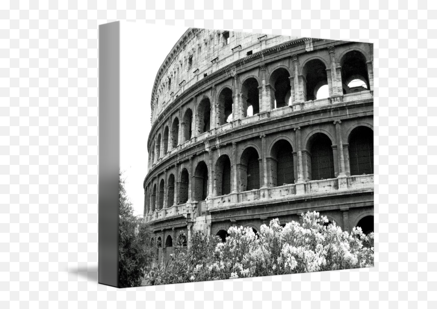 Colosseum Classic By Russell Rice - Colosseum Png,Colosseum Png