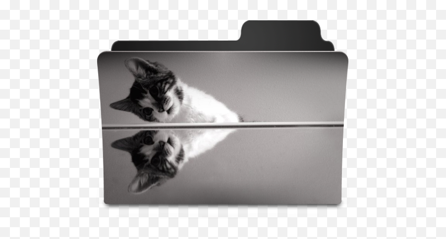 Cat Icon - Goodies Folder Icons Softiconscom Cat Folder Icon Png,Halloween Cat Icon