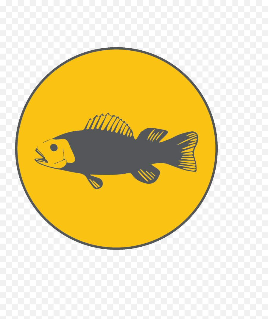 Worldtrakers - Home Cypriniformes Png,Fish Retail Icon Png