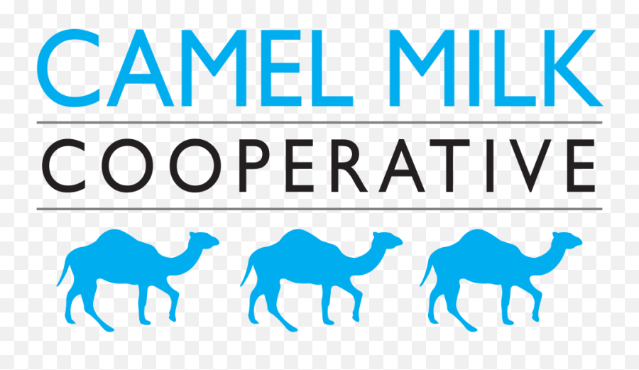 Camel Milk Pure Raw Freeze Dried - Milk Cooperative Png,Camel Logo