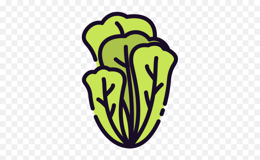 Lettuce - Free Food Icons Language Png,Lettuce Icon