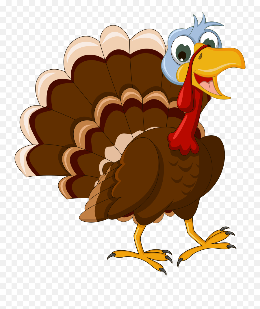 Library Of Turkey Clip Art Free - Transparent Thanksgiving Turkey Png,Turkey Clipart Transparent Background