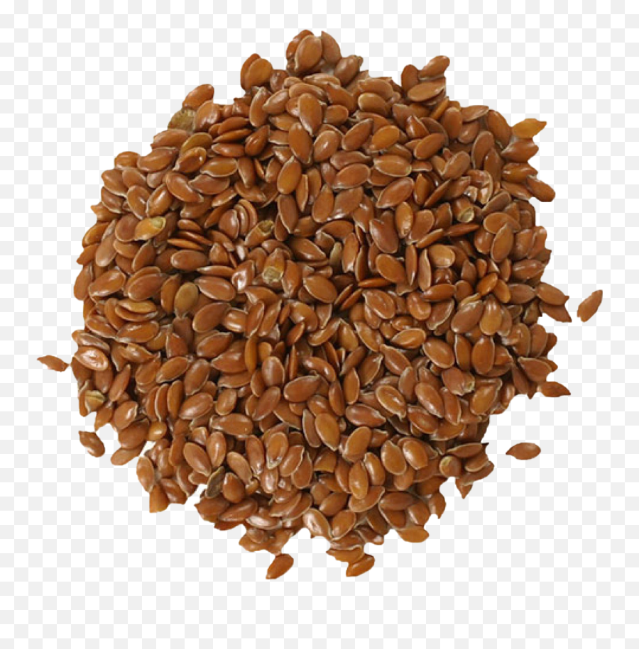 Flax Seeds Png Image Transparent - Whole Flax Seeds,Seed Png