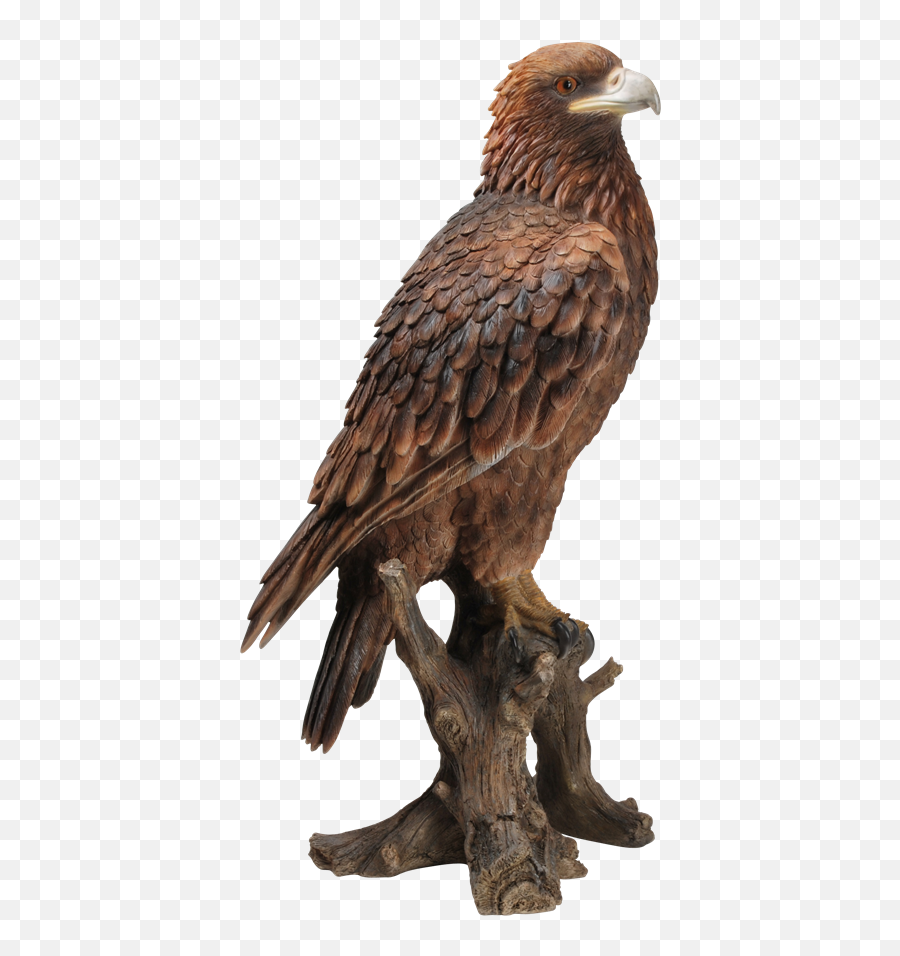 Golden Eagle - Resin Garden Ornament Real Picture Of Golden Eagle Png,Golden Eagle Png