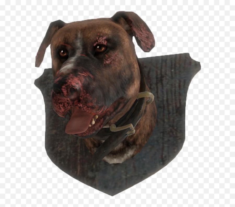 Download Fo4 Mounted Dog Head - Dog Full Size Png Image Pit Bull,Dog Head Png