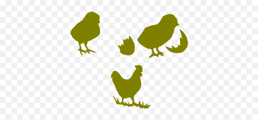 Chicken Cock Poultry Hen Farming Chick Coc - Outline Silhouette Chickens Png,Chicken Clipart Png