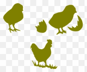 Chicken Cock Poultry Hen Farming Chick Coc - Outline Silhouette Chickens Png,Chicken Clipart Png