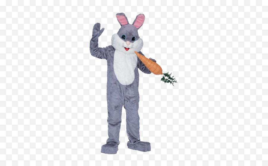 Easter Bunny Costume Rental Sandiegokidspartyrentalscom - Easter Costume For Rent Png,Easter Bunny Png