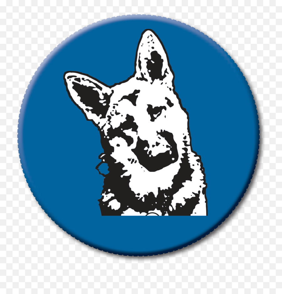 Download Hd Dogs - German Shepherd Transparent Png Image German Shepherd,German Shepherd Png