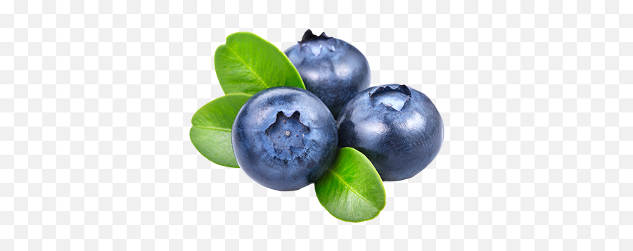 Blueberries Png Icon - Blueberry Png Transparent,Blueberry Transparent Background