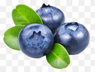 Blueberries Png Icon - Blueberry Png Transparent,Blueberry Transparent Background