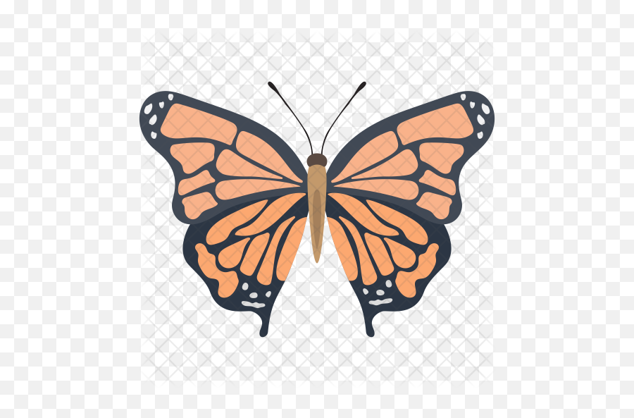 Monarch Butterfly Icon Of Colored - Monarch Butterfly Png,Monarch Png
