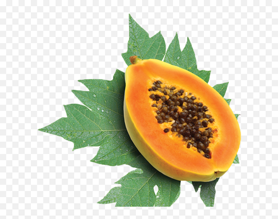 Download Nutrition Of Papaya Fruit Png