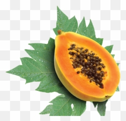 Download Nutrition Of Papaya Fruit Png