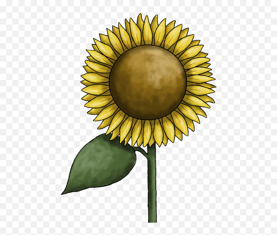 Sunflower Clipart Free Images - Clip Art Png,Sunflower Clipart Png