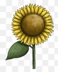 Sunflower Clipart Free Images - Art png