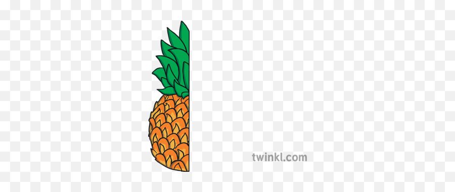 Half A Pineapple Illustration - Twinkl Little Red Hen Duck Png,Pineapple Png