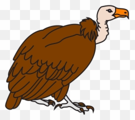 In The Desert Clipart Vulture - Vulture Clipart Png,Vulture Transparent