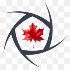 Virtual Toursphoto And Videored Maple Film Studio - Emblem Png,Red Leaf Logo