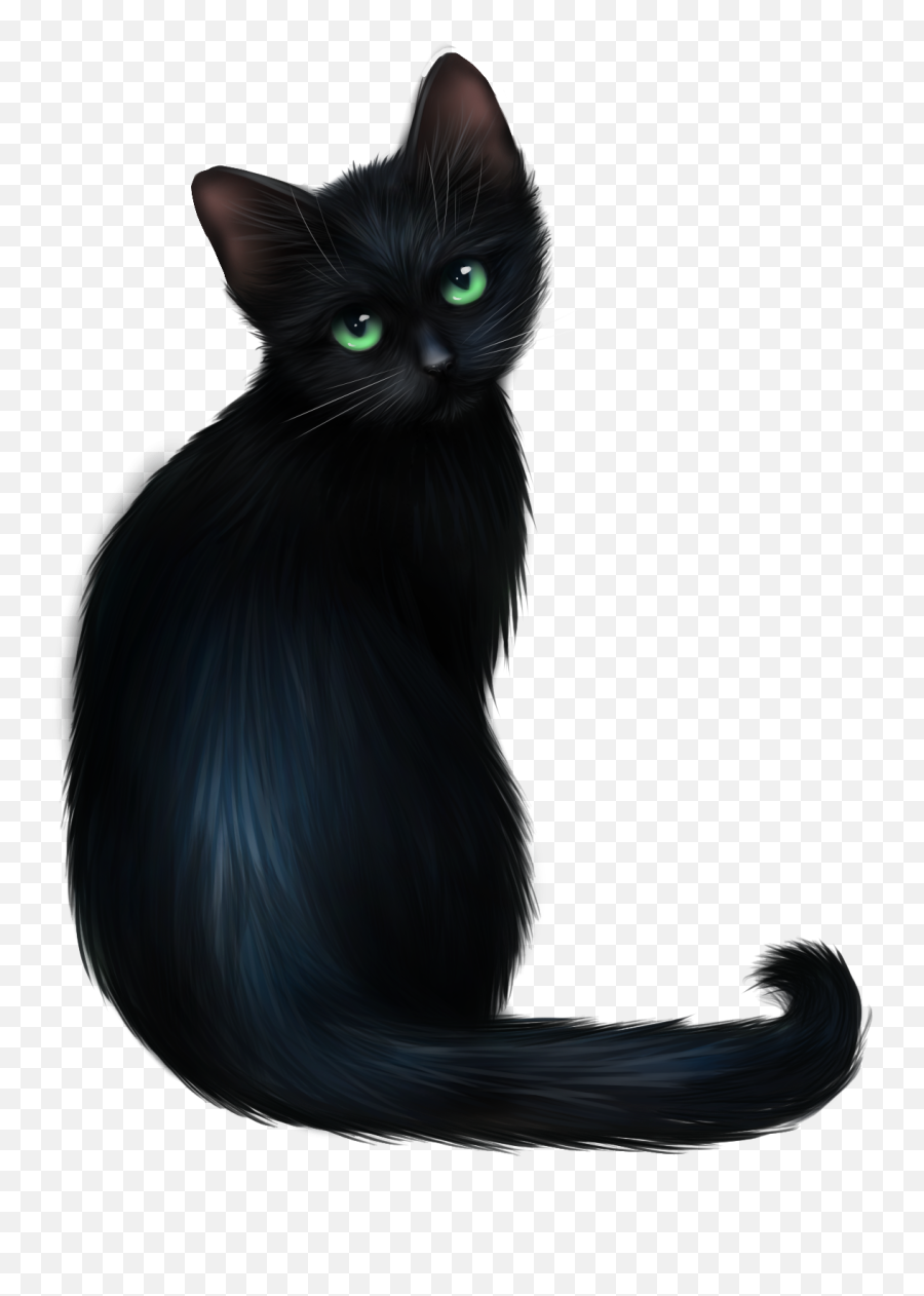 Download Black Cat Clipart Animal - Black Cat Full Black Cat Png,Black Cat Clipart Png