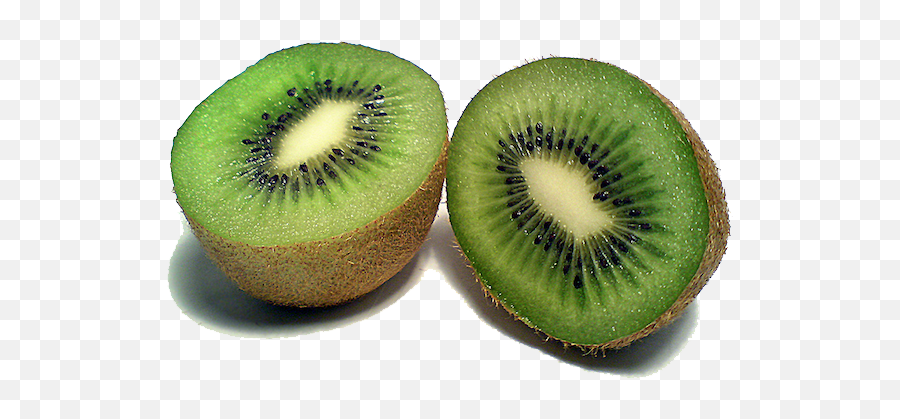 Kiwi Fruit Image Icon Favicon - Kiwi Pixabay Png,Fruit Transparent