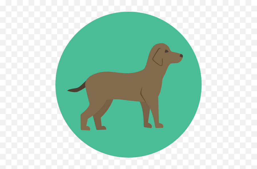 Free Icon Dog - Flat Animal Icon Png,Dog Icon Transparent