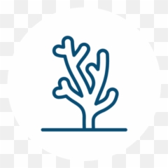 About Ocean Impact Organisation - Language Png,Icon On Ocean Menu
