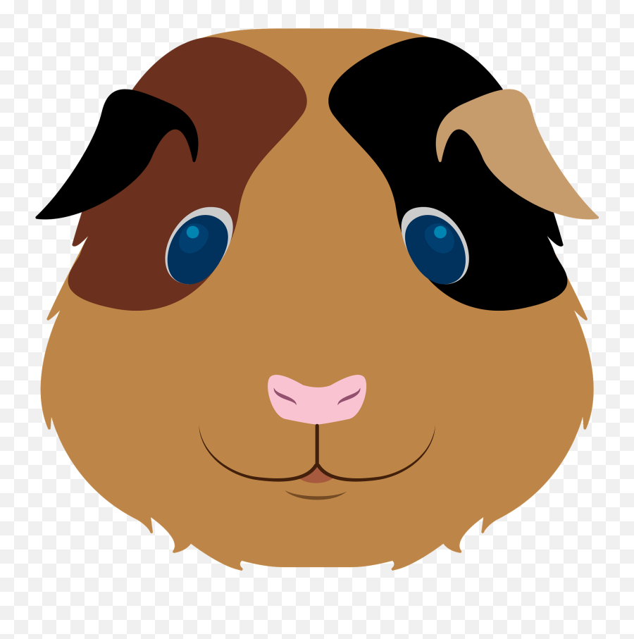 Guinea Pig Face Clipart Free Download Transparent Png - Guinea Pig Mask,Guinea Pig Icon