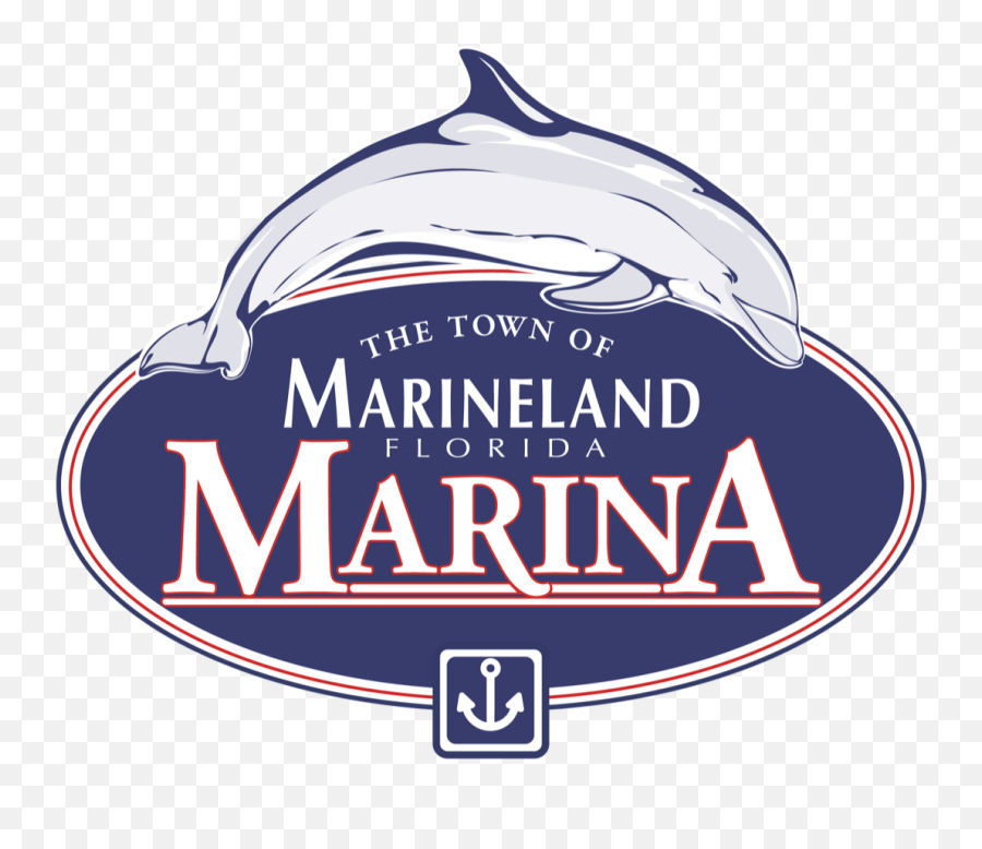 Marineland Marina - Common Bottlenose Dolphin Png,St Marina Icon