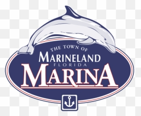 Marineland Marina - Common Bottlenose Dolphin png