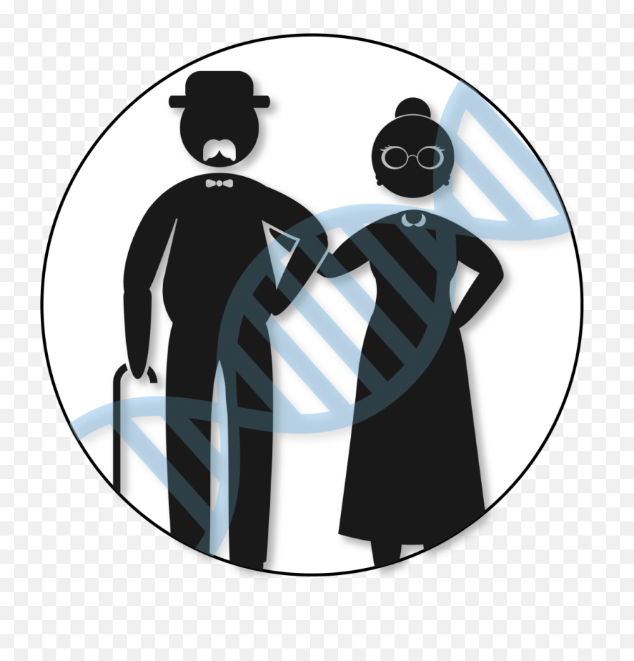 Find An Ancestor Using Dna - Your Dna Guide Png,Dna Match Icon